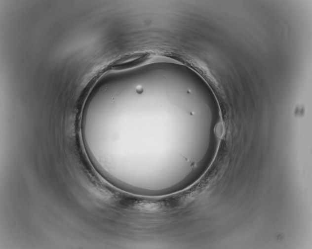 X0000093530299200710261257