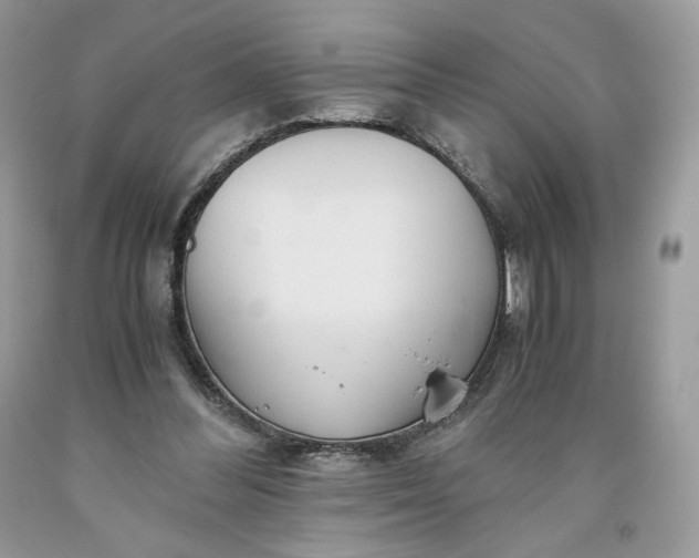 X0000093530300200710261257