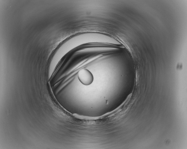 X0000093530301200710261257