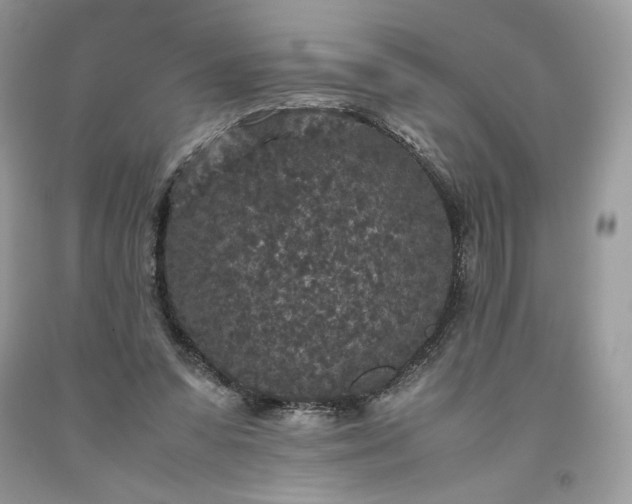 X0000093530303200710261257