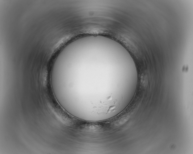 X0000093530304200710261257