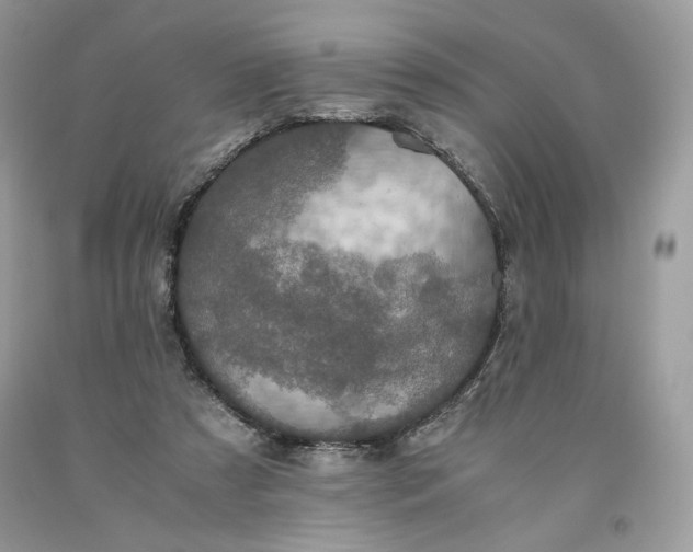 X0000093530305200710261257