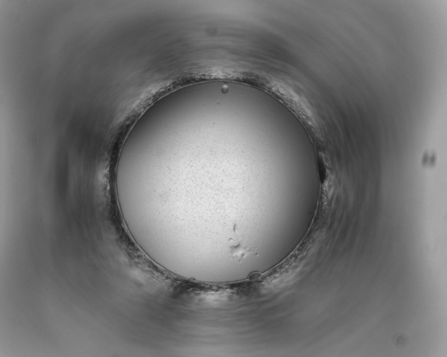 X0000093530306200710261257