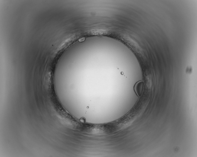 X0000093530308200710261257