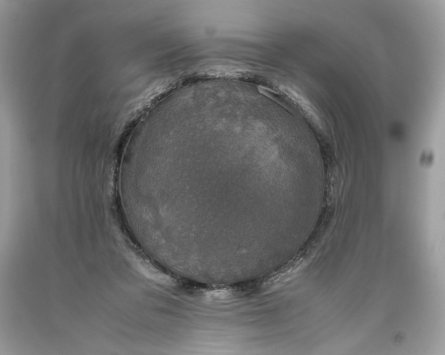 X0000093530309200710261257