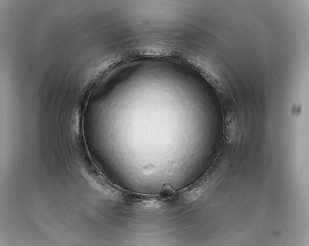 X0000093530310200710261257