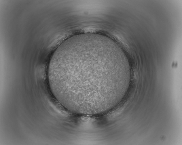 X0000093530311200710261257