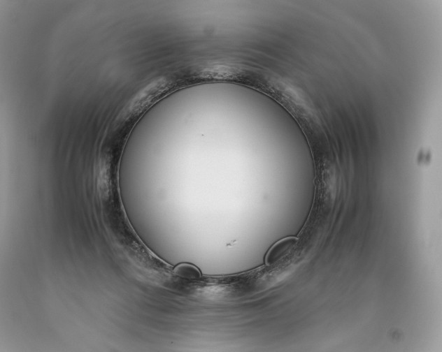 X0000093530312200710261257