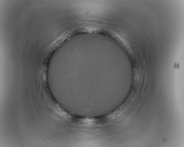 X0000093530313200710261257