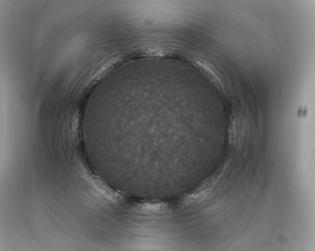 X0000093530314200710261257