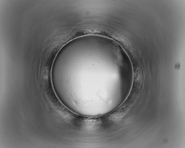 X0000093530315200710261257