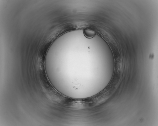 X0000093530316200710261257