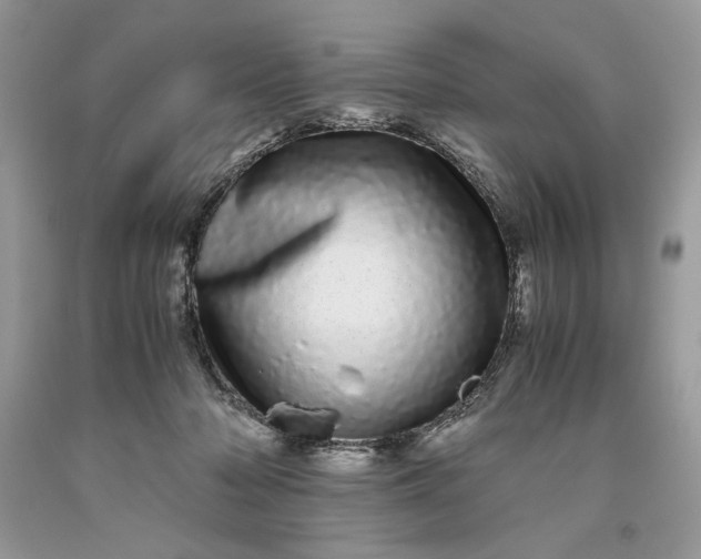 X0000093530318200710261257