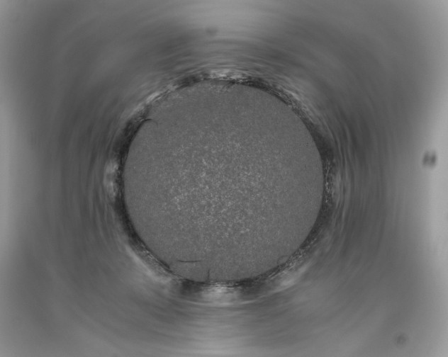 X0000093530319200710261257