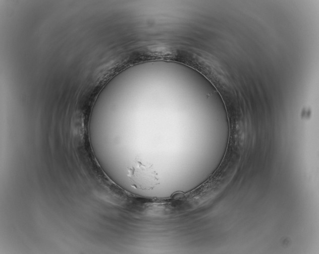 X0000093530320200710261257