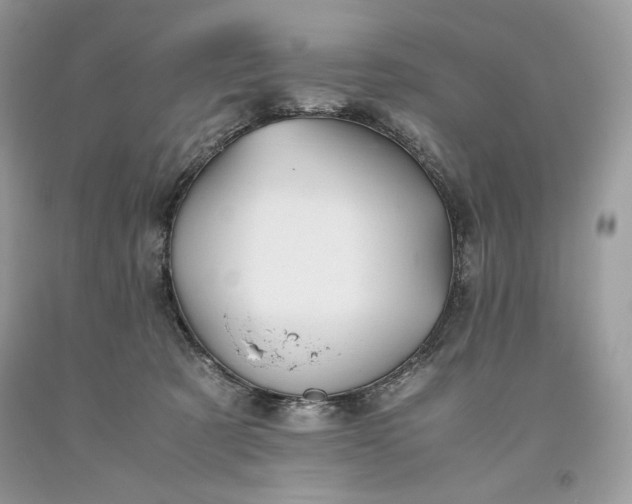 X0000093530321200710261257