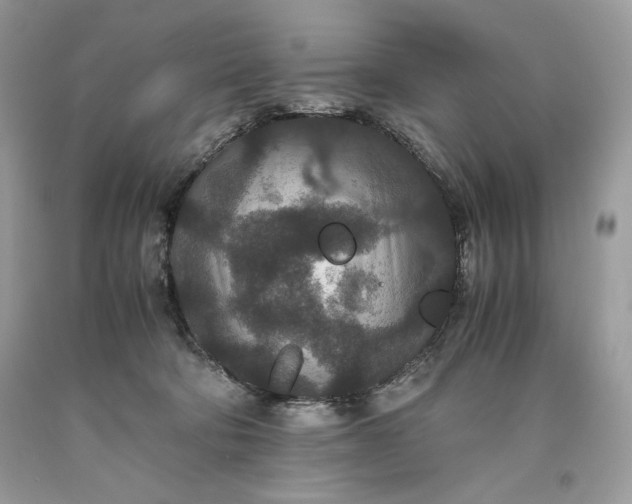 X0000093530322200710261257