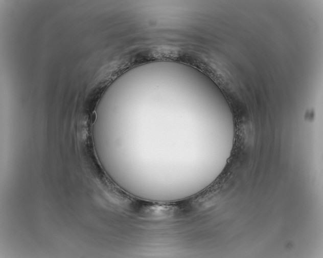 X0000093530323200710261257