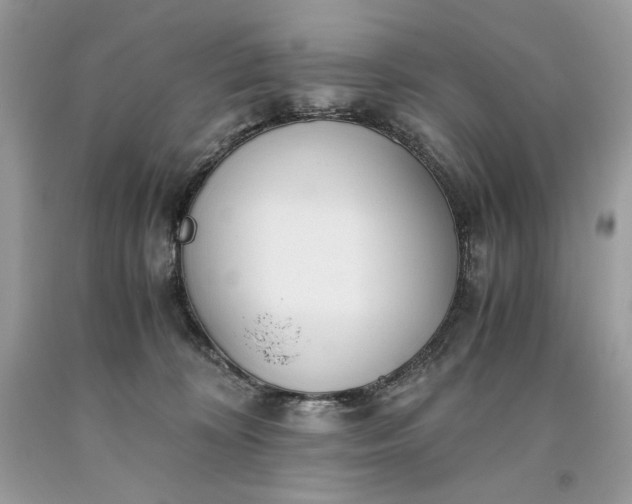 X0000093530324200710261257