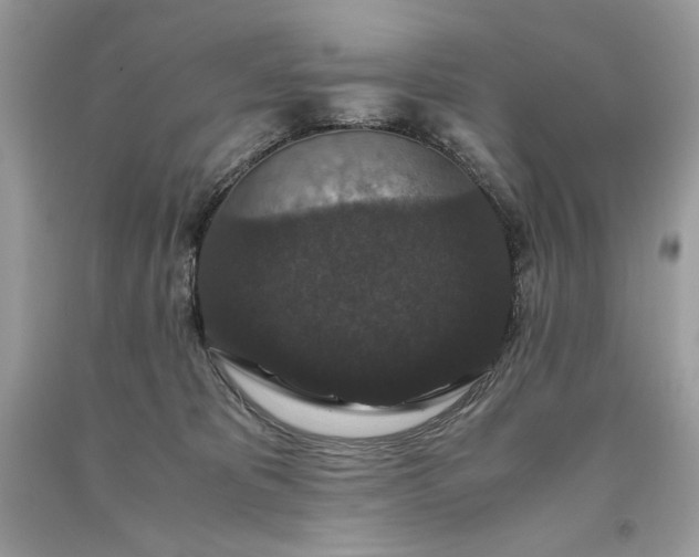 X0000093530325200710261257