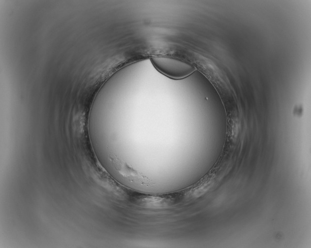 X0000093530326200710261257