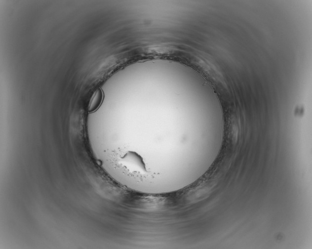 X0000093530328200710261257