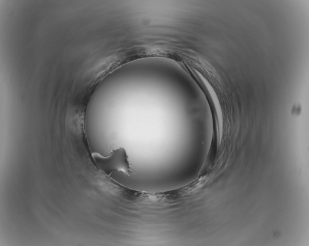 X0000093530329200710261257