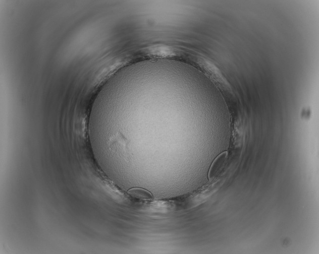 X0000093530330200710261257