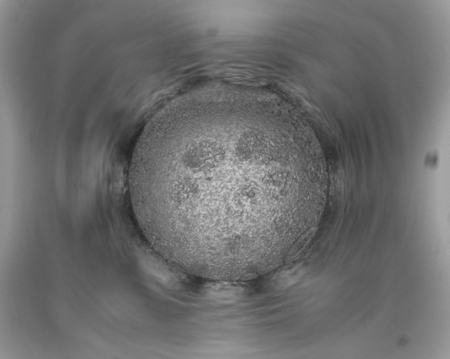 X0000093530331200710261257