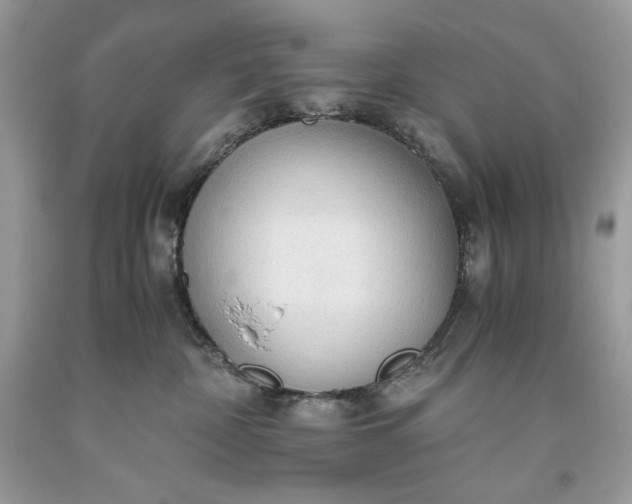 X0000093530332200710261257