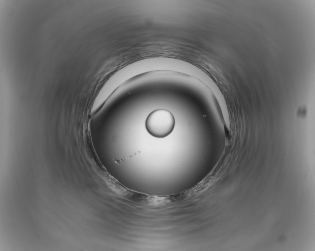 X0000093530333200710261257