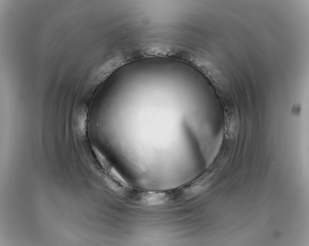 X0000093530334200710261257