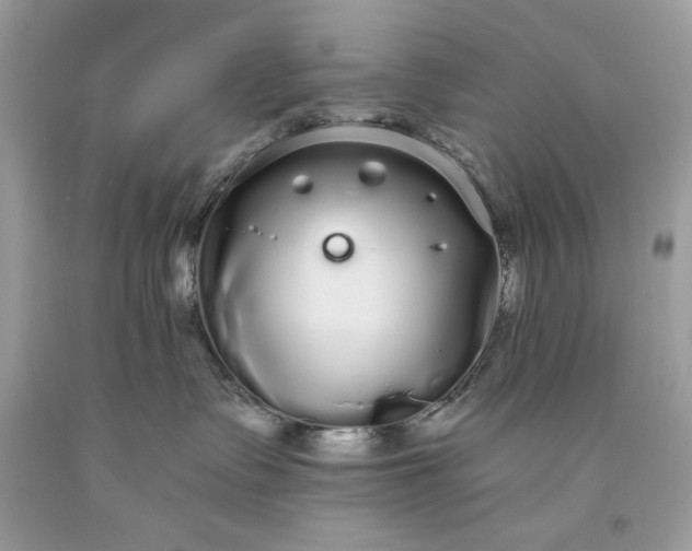 X0000093530335200710261257