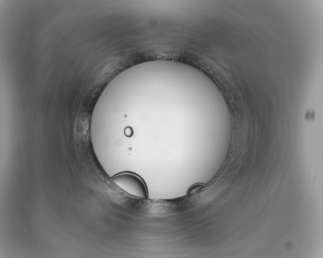 X0000093530336200710261257