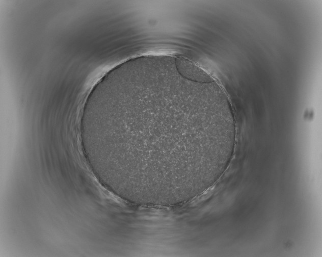 X0000093530337200710261256