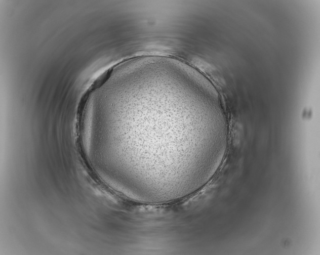 X0000093530338200710261256