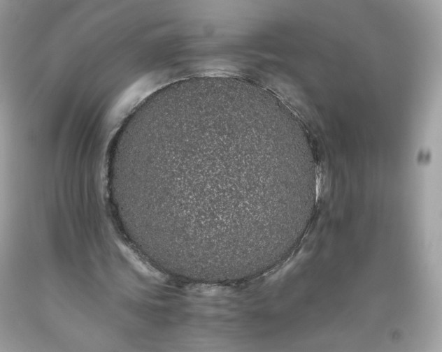 X0000093530339200710261256