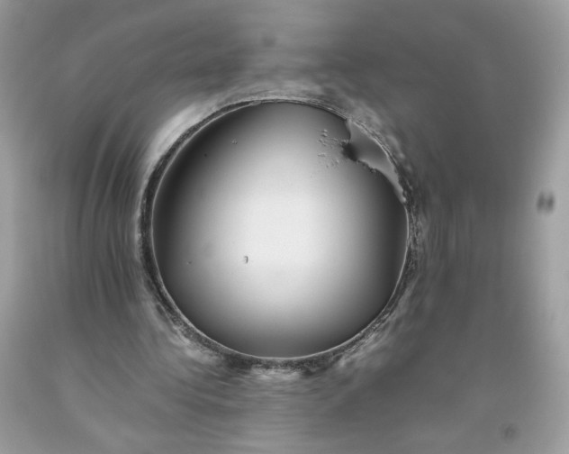 X0000093530340200710261256