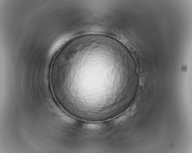 X0000093530341200710261256