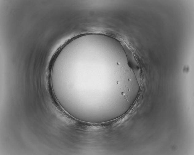 X0000093530342200710261256