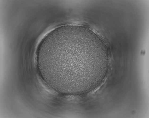 X0000093530343200710261256