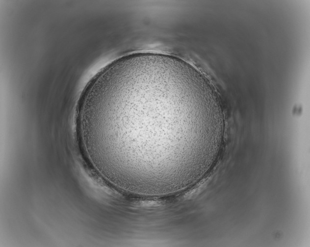 X0000093530344200710261256