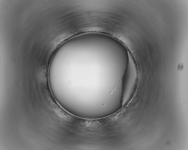 X0000093530345200710261256