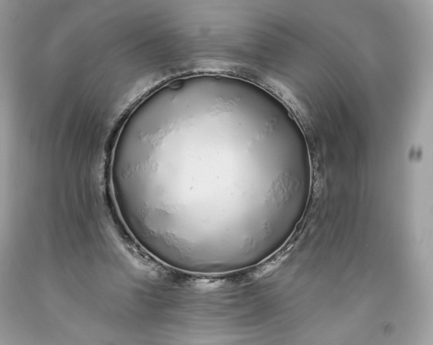 X0000093530346200710261256