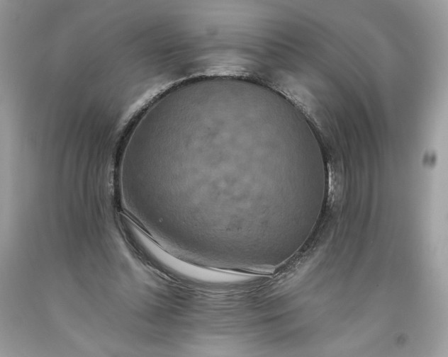 X0000093530348200710261256