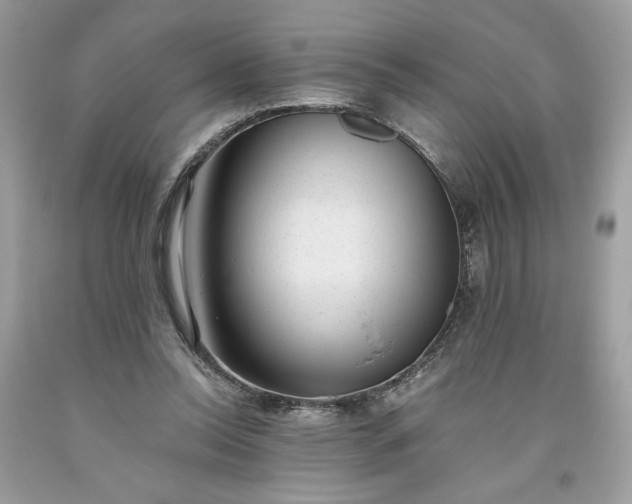 X0000093530350200710261256