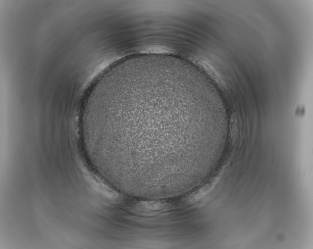 X0000093530351200710261256