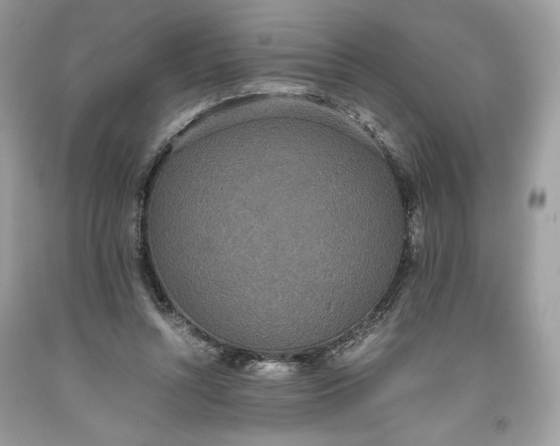 X0000093530352200710261256