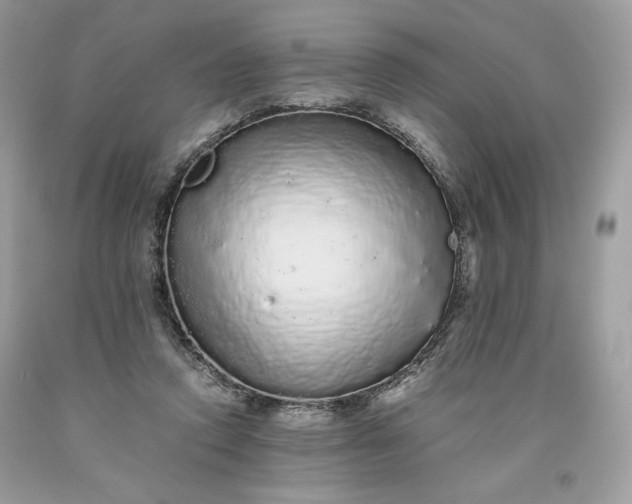 X0000093530354200710261256