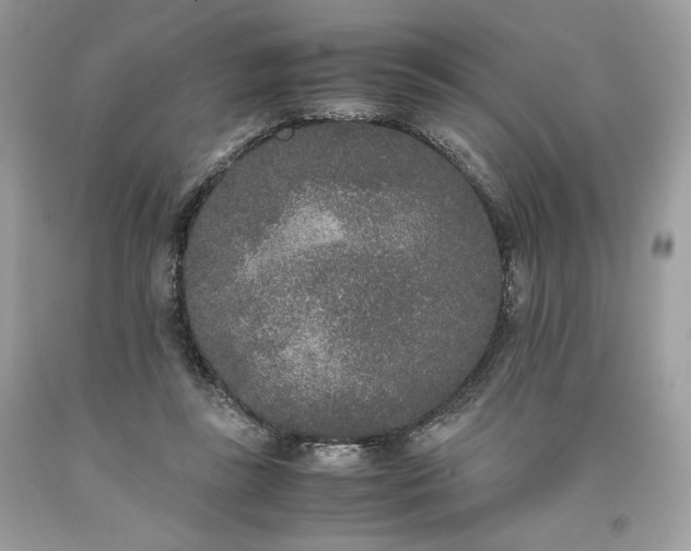 X0000093530355200710261256